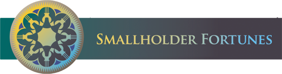 Smallholder Fortunes